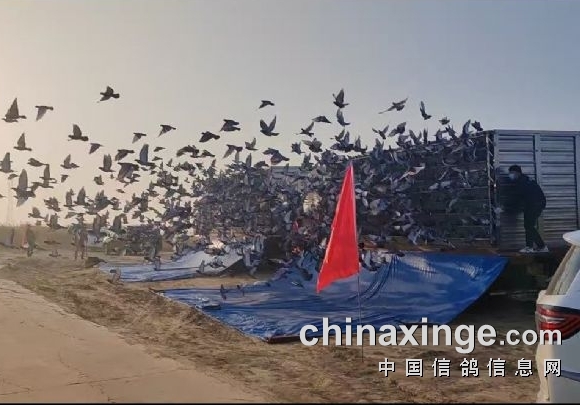 �������۷� ������������ ������