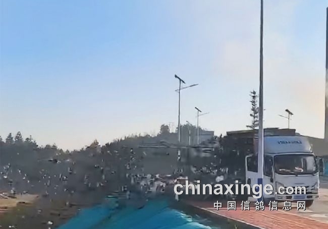 һ�����ʮ��ǿ ������ҫ���ʸ���ӭ���