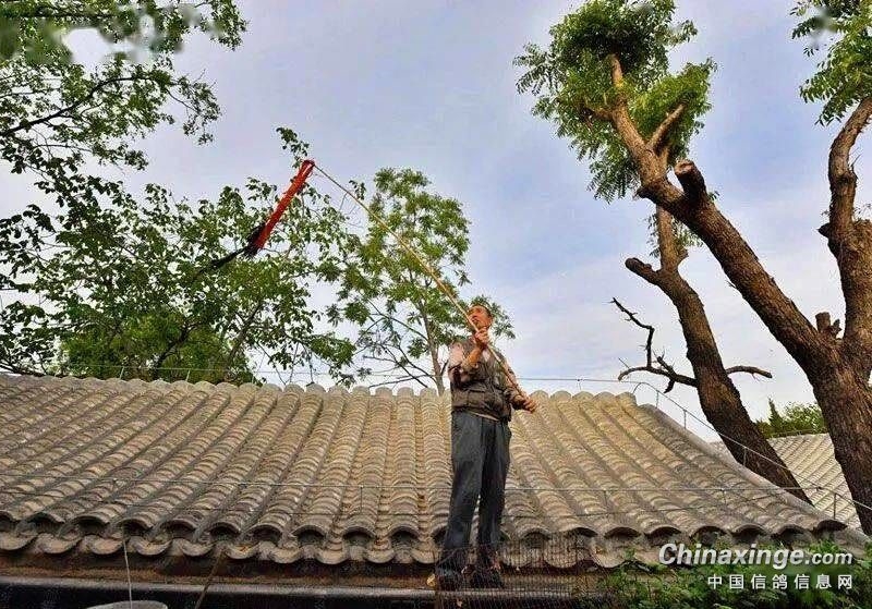 ����ø��ӿ�����Ϥ��Χ����