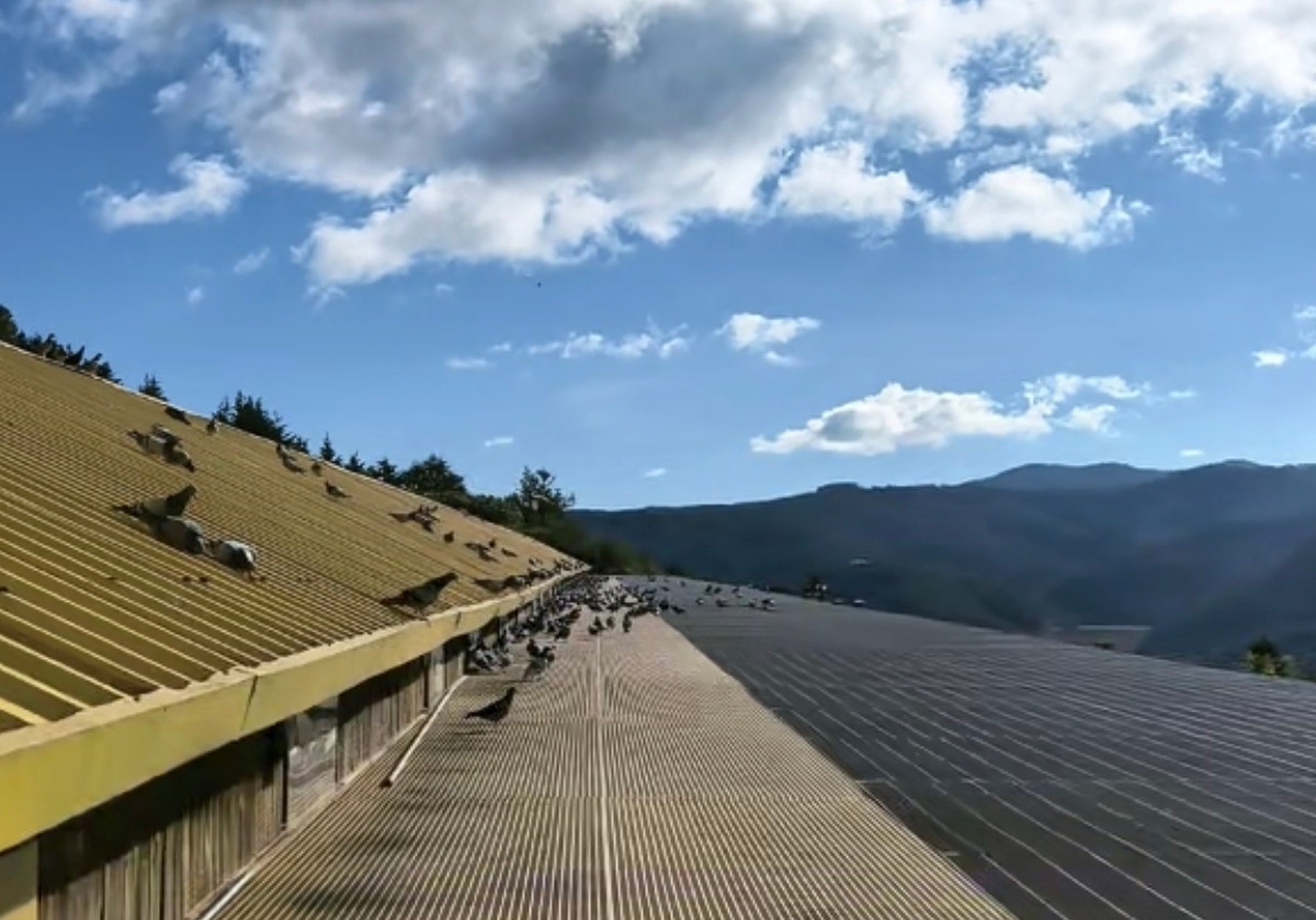 ������� ���ϾŶ��������Ĵ������վ