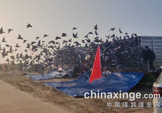 ��������ģ���� ����һ��������ͣ��