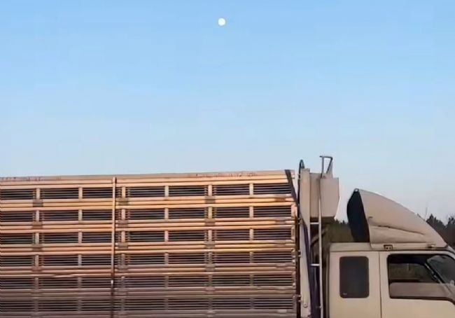 �����ճ�̳ժ�Ǿ� ������ҫ���׹ؽҰ�