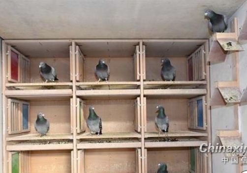 ���ӳ���������֢���ȿ�������