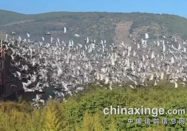 ȡ������������1600������������ӽ� ��������