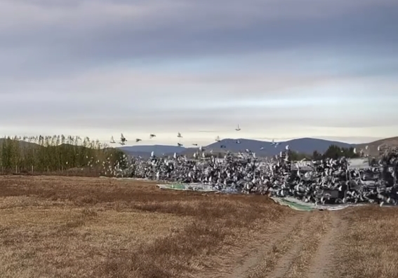 3���������¹ھ� ��ɽ�����׹���߷���1642