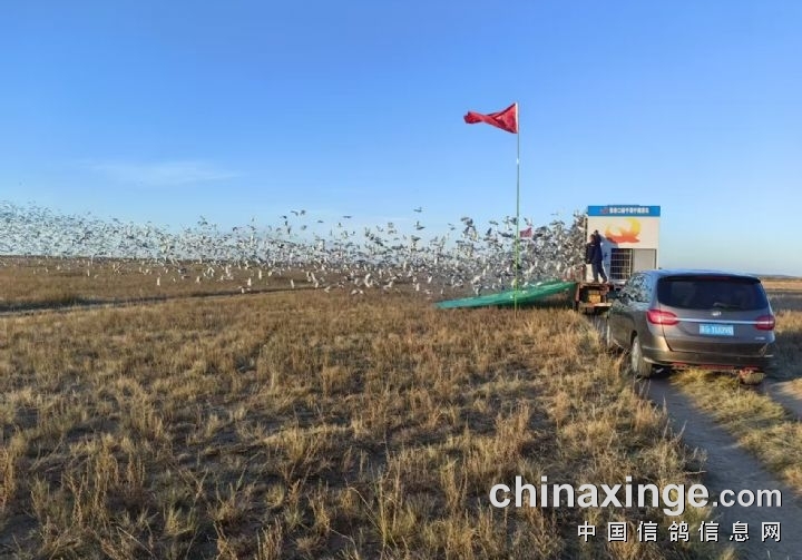 ������ս��߷���1650 �żҿ��Ĺ���ͬ�տ���