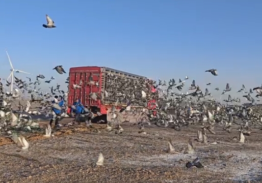 ��ʮ����Ÿ����������������10�µ׼�����ս