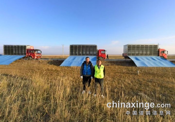 ����ɸ������·���ӱ�9�����ﾫ�����