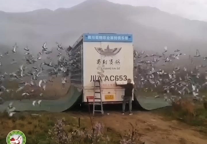 ���쿪��������� �Ĵ������׹ؼ��ѹ鳲