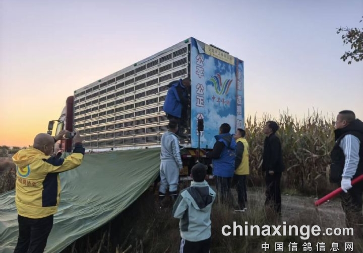 19���ӱ�������������������������