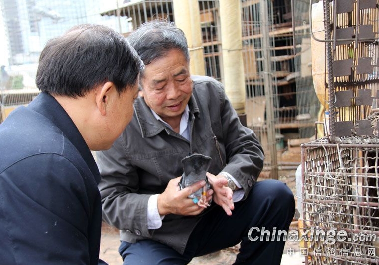 ������ë��ѡ��Ĺؼ�