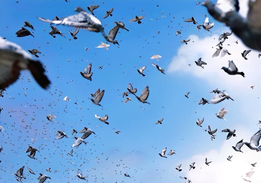 �׹��۰롢����ȫ�� ���������������У�