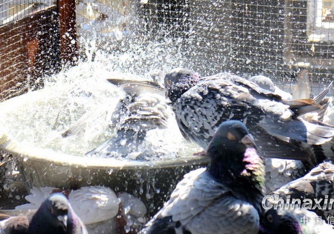 ��������������ϴ�����