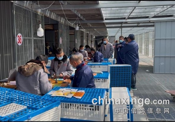 ��߷���1565 �������¹���ǰʮ����