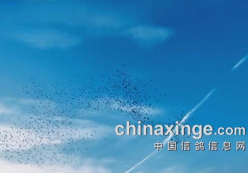 ��߷���1422 �������Ԥ��ǰʮ����