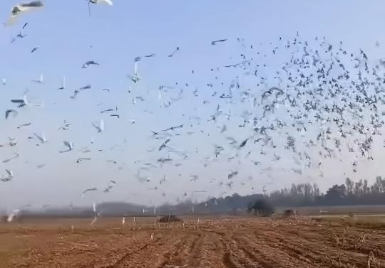 ħ������ɡ�ħ���ɼ���ɽ������400����ɳ��λ�����