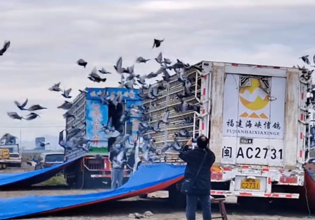 �����Ƽ����ֹ��У�������Ͽ�����׹ؽҰ�