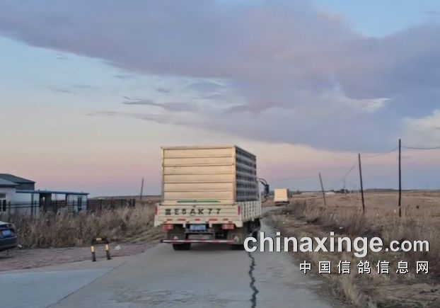 �������520�������ǰʮ����