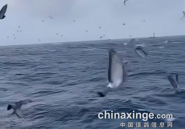 3����վ����3ǧ �Ϻ��������ؽ����ɹ�