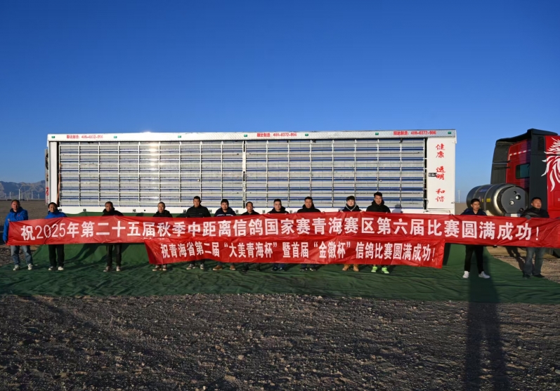 ��ʮ���������ຣ�������� ���޸������ǰ��