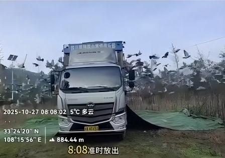 �Ĵ�������Ѷ��� ����ƾʵ����������