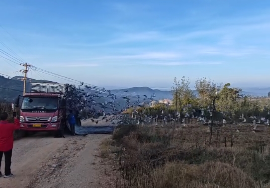 ��߷���1675 ������ͥԤ��˳���ʤ