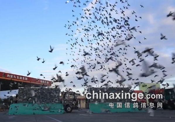 ̫ˬ�� ������Ͽ�ڶ��ط���쭳�һǧ��