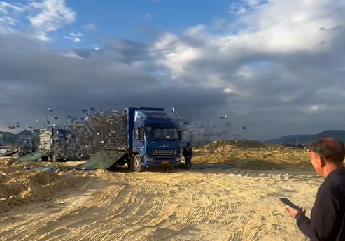 �㶫��ͨ�������� �������Ϲ����һǹ