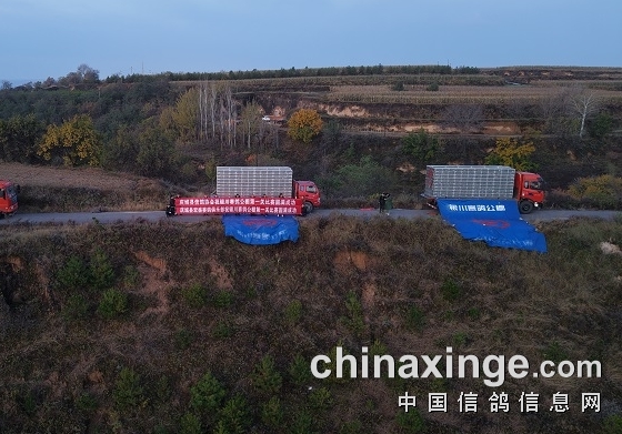 ���������ŽǴ��� �ļҹ���ͬ�տ����׹ر���