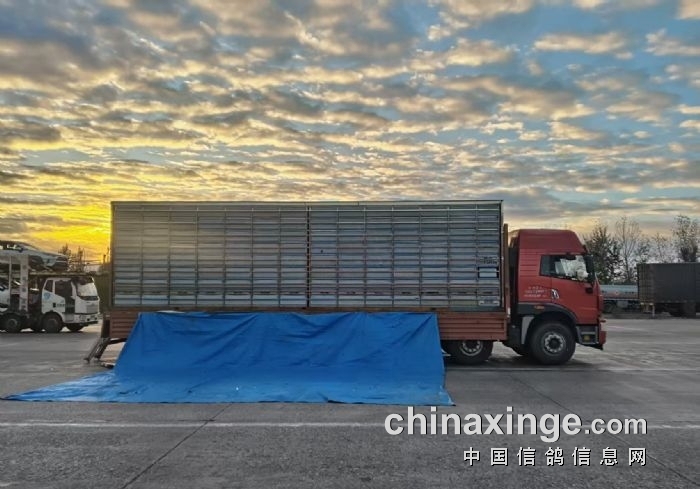 ������ԭ��ս�� ���������վ����ҫ�Ұ�