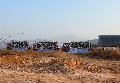 ������·��ʦ 4.4������ս�̾���������