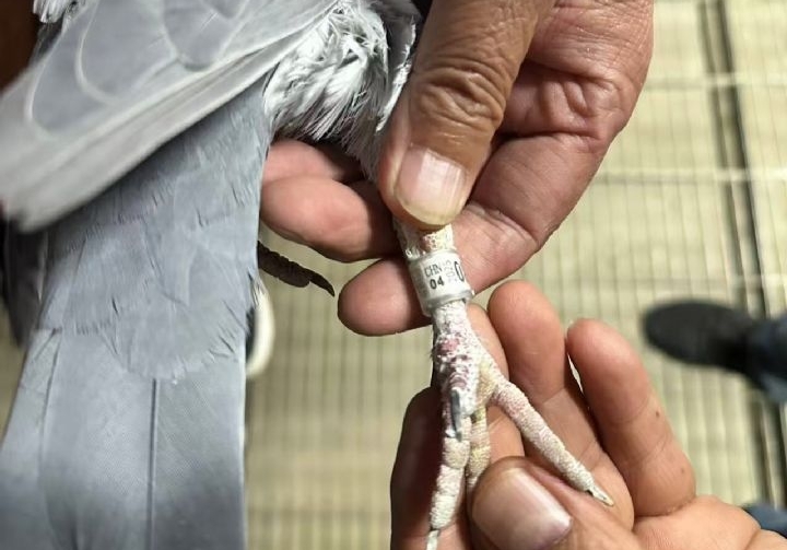 ������������ɹ�һ��������Ǿ��ɼ���ȡ��