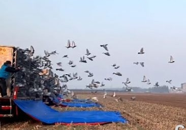 �ӱ���������� ������ѽԴ�ϲ