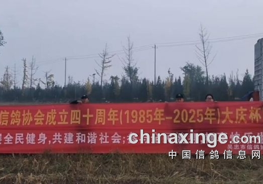 �ʸ����Ǿ��ٵ����ص�һ ���԰���������