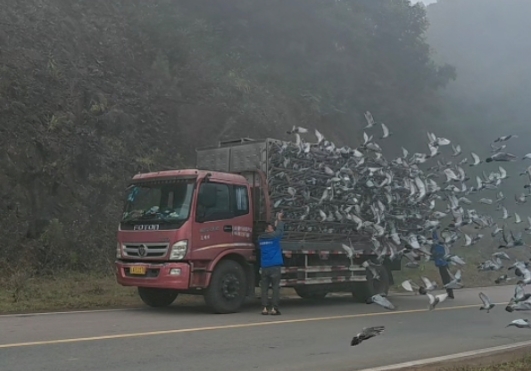 ��ɽ���� ������ͥ�����ھ�ǿ�����ȹ���