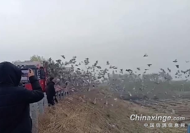 ɽ��������ν⣿��ǧ�����ս������鳲