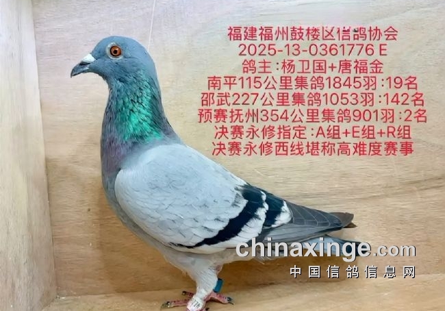 7��ս���������25ǿ ��¥�������Ӯ��ԭ������