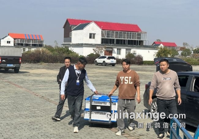 �人�����2025��һ�أ�520�������̴������