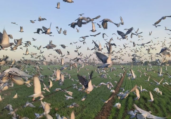 ����������λ һ����Ĵ�ж���