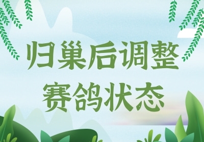 �鳲����ε�������״̬