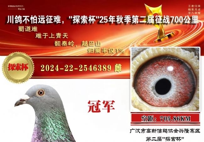 ������ս700����㺺���̽�����Ұ�