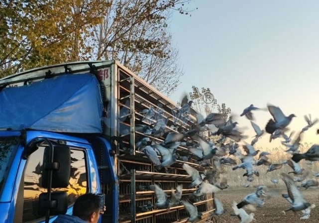 ������ͷϷ���� ��ɽ��ʡ������ǧ��ս