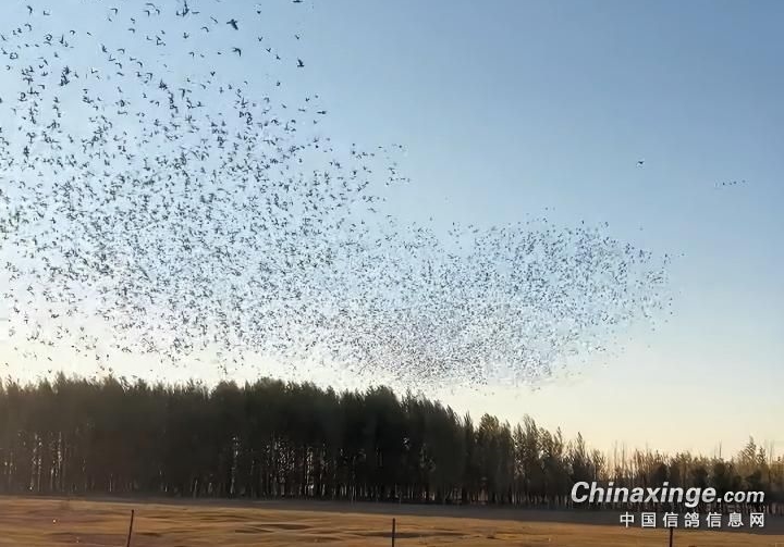 ���ִ��ź͹���2025�����ع�