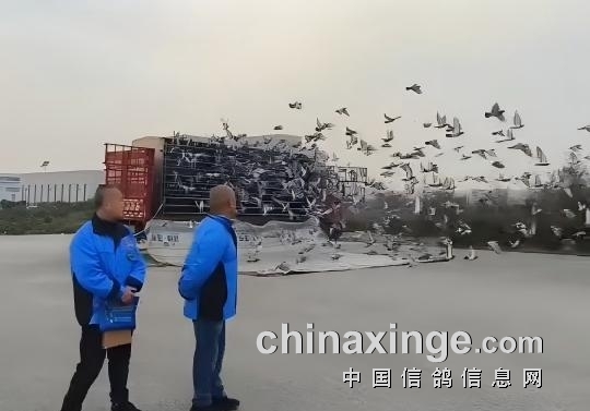 �����ع�ǰ20 ������������ѹ��߳�