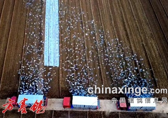 ��ڹ���300����Ԥ�����չ鳬�ų�