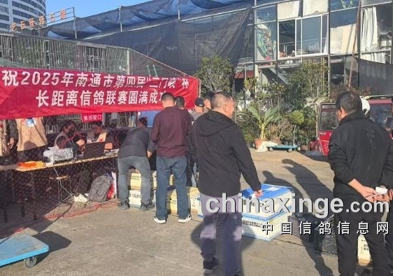 ��߷���1074 ��ͨ������Ͽ�����������Ѽ���