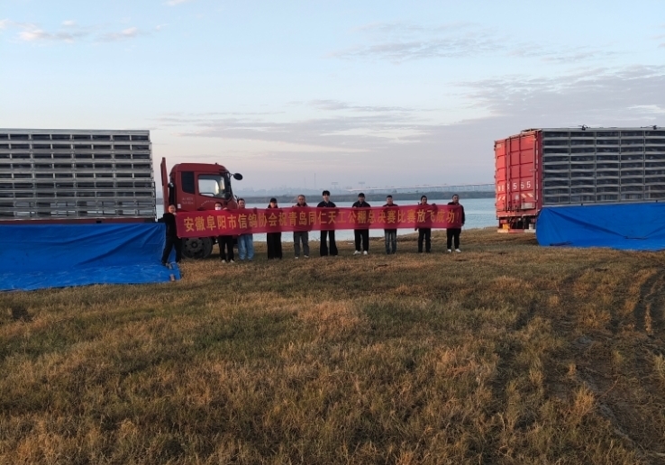 ����ǿ���¶Ἶ�� ɽ�����ҹ�������Ұ�