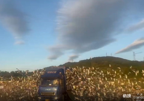 �㶫��ͨԤ�� һ��̨���Ե�ķ���