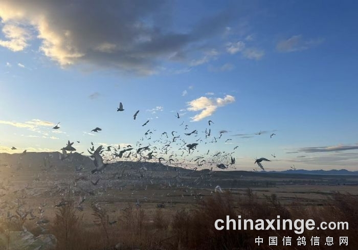 ̤�������쳣 ɽ������ȡ�������ھ��ɼ�