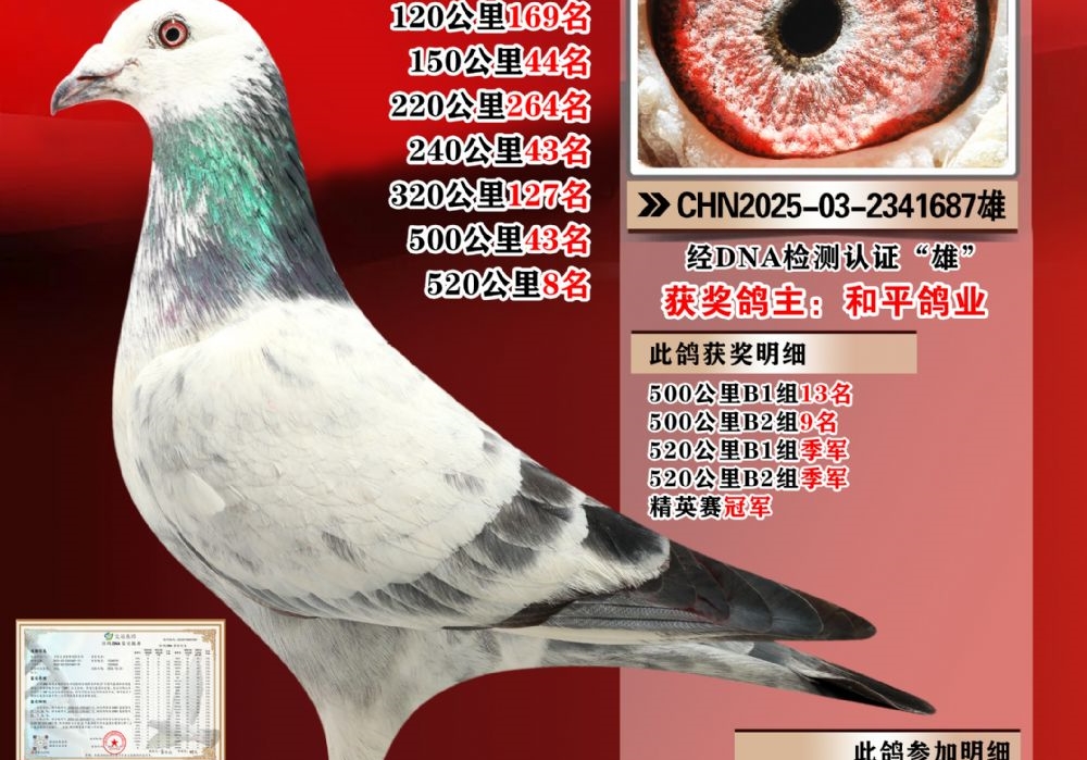 鳲6% ѱɳʮ